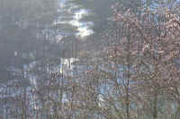 01kobusi.jpg (87716 �o�C�g)