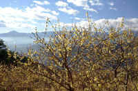 01roubai1.jpg (103754 �o�C�g)