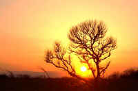 02kareki2.jpg (60029 �o�C�g)