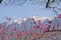 05akayasio53.jpg (76137 �o�C�g)