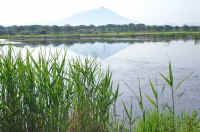 05asi.jpg (79469 �o�C�g)