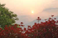 05benikaname.jpg (64592 �o�C�g)