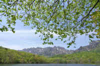 05sirakaba6.jpg (102709 �o�C�g)