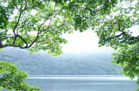 07kaede7.jpg (96697 �o�C�g)