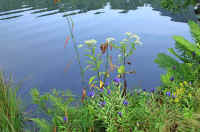 09rinndou.jpg (75844 �o�C�g)