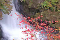 10turibana10.jpg (87491 バイト)