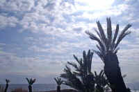 0602sotetu.jpg (60483 バイト)