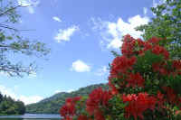 0606renngetutuji2.jpg (71068 �o�C�g)