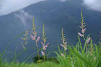 0608tidakesasi.jpg (48870 �o�C�g)