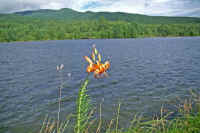 0609kurumayuri2.jpg (66485 �o�C�g)