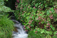 0609syuukaidou.jpg (107956 �o�C�g)