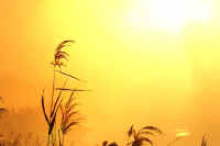 06asi.jpg (43979 �o�C�g)