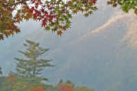 06kaede.jpg (63565 �o�C�g)