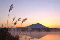 06susuki.jpg (48624 �o�C�g)