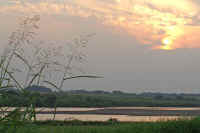 10nogariyasu.jpg (54273 バイト)