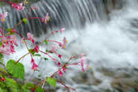 10syuukaidou2.jpg (61655 �o�C�g)