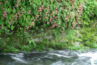 10syuukaidou.jpg (109532 �o�C�g)