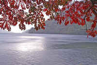 10yamaurusi.jpg (92711 �o�C�g)