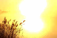 11asi2.jpg (53411 バイト)