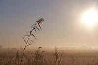 11asi3.jpg (43643 �o�C�g)