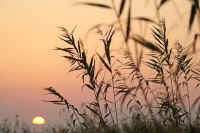 11asi.jpg (69905 �o�C�g)