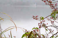 11noibara.jpg (66328 �o�C�g)