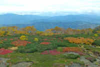 10-5dakekannba.jpg (62461 �o�C�g)