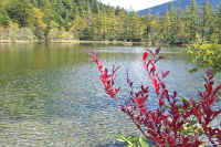 10-6tutuji.jpg (106177 バイト)