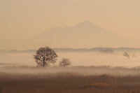 12-7kareki.jpg (38247 バイト)