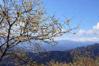 2-1roubai.jpg (101315 �o�C�g)