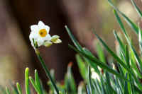 2-2suisenn.jpg (57439 �o�C�g)