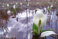 4-13mizubasyou.jpg (64098 �o�C�g)