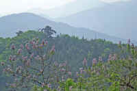 5-12kiri.jpg (64811 �o�C�g)