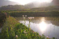 5-1harujionn.jpg (62296 �o�C�g)