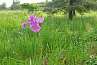 6-2hanasyoubu.jpg (76751 �o�C�g)