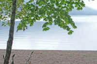 6-4kaede.jpg (75311 バイト)