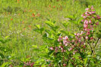 6-7taniutugi.jpg (95514 バイト)