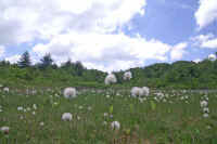 6-9watasuge.jpg (62731 �o�C�g)