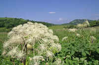 7-10sisiudo.jpg (82065 バイト)