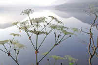 8-4sisiudo.jpg (61825 �o�C�g)