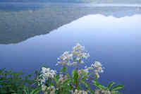 8-5noriutugi.jpg (52990 バイト)