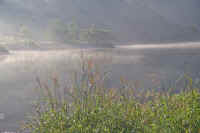 8-6susuki.jpg (61836 �o�C�g)