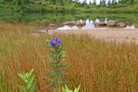 9-2rinndou.jpg (78262 �o�C�g)