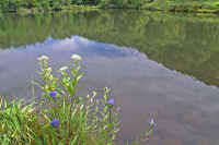 9-4rinndou.jpg (68049 バイト)