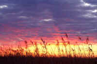 01asi.jpg (59712 �o�C�g)