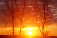 01kareki1.jpg (60434 �o�C�g)