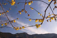 01roubai.jpg (64576 �o�C�g)