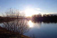 01yanagi.jpg (63973 バイト)