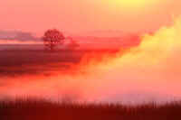 03enoki.jpg (39965 �o�C�g)