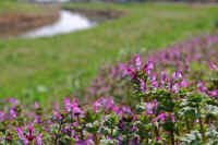 03hotokenoza.jpg (64849 バイト)